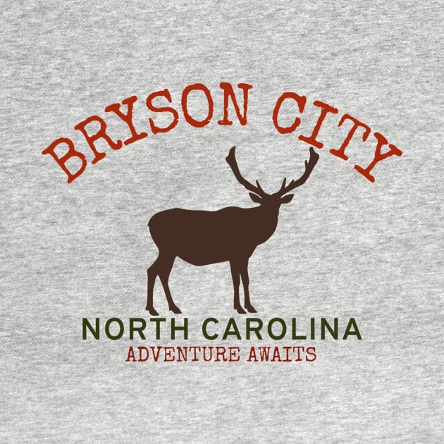 Bryson City, North Carolina by Mountain Morning Graphics